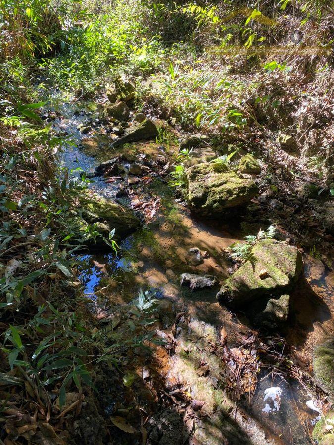 WhatsApp Image 2025-08-01 at 09.06.31 (22).jpeg